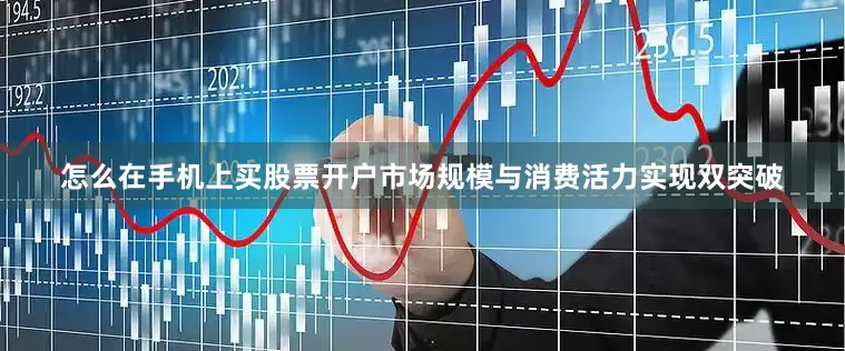 怎么在手机上买股票开户市场规模与消费活力实现双突破