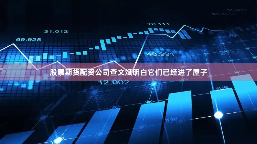 股票期货配资公司查文斌明白它们已经进了屋子