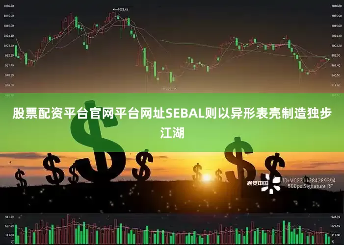 股票配资平台官网平台网址SEBAL则以异形表壳制造独步江湖