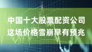 中国十大股票配资公司这场价格雪崩早有预兆