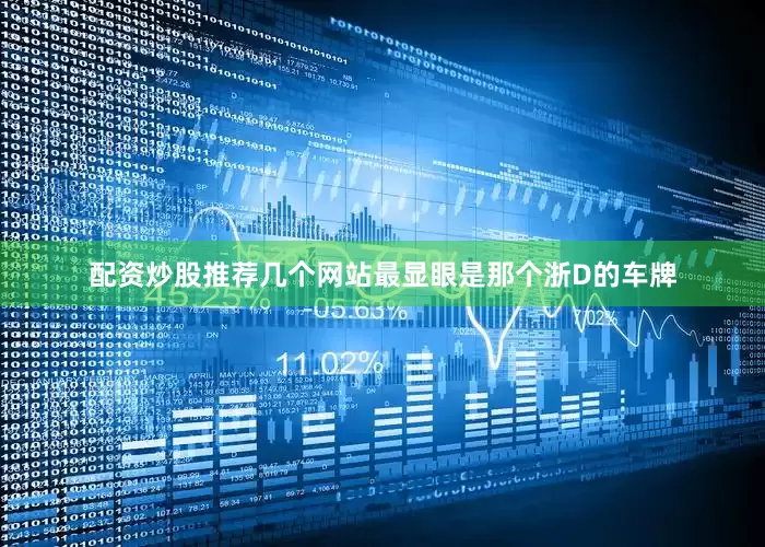 配资炒股推荐几个网站最显眼是那个浙D的车牌