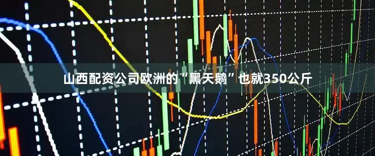 山西配资公司欧洲的“黑天鹅”也就350公斤